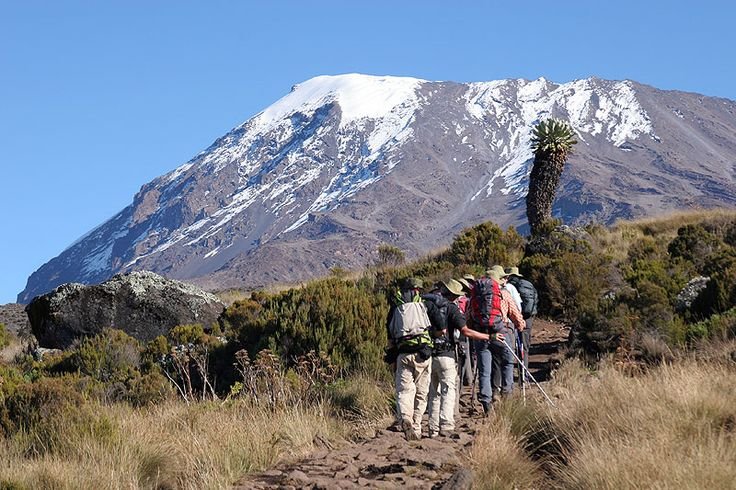 6 DAYS KILIMANJARO TREKKING VIA UMBWE ROUTE